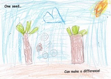 Kid’s Art of One Seed
