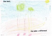 Kid’s Art of One Seed