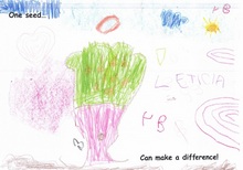 Kid’s Art of One Seed
