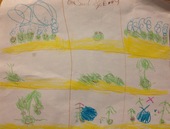 Kid’s Art of One Seed