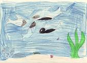  Children�s Art for The Whales� Secret 